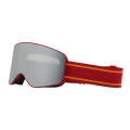 Lunettes de Ski professionnel