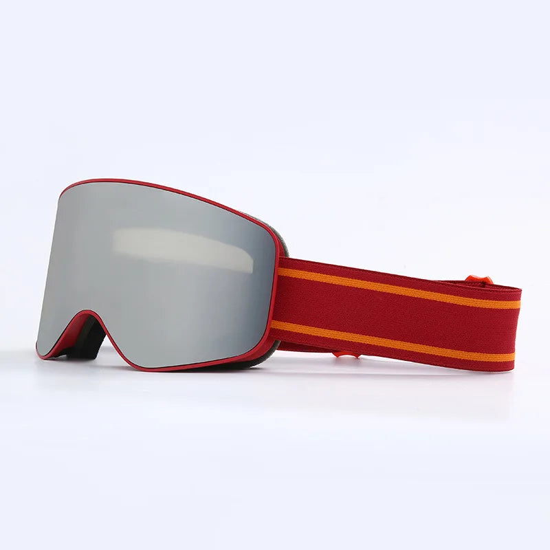 Lunettes de Ski professionnel