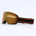 Lunettes de Ski professionnel